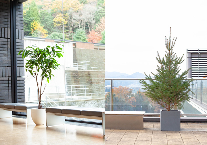 植木鉢の選び方 大型プランター編 特集 読みもの E 花屋さん