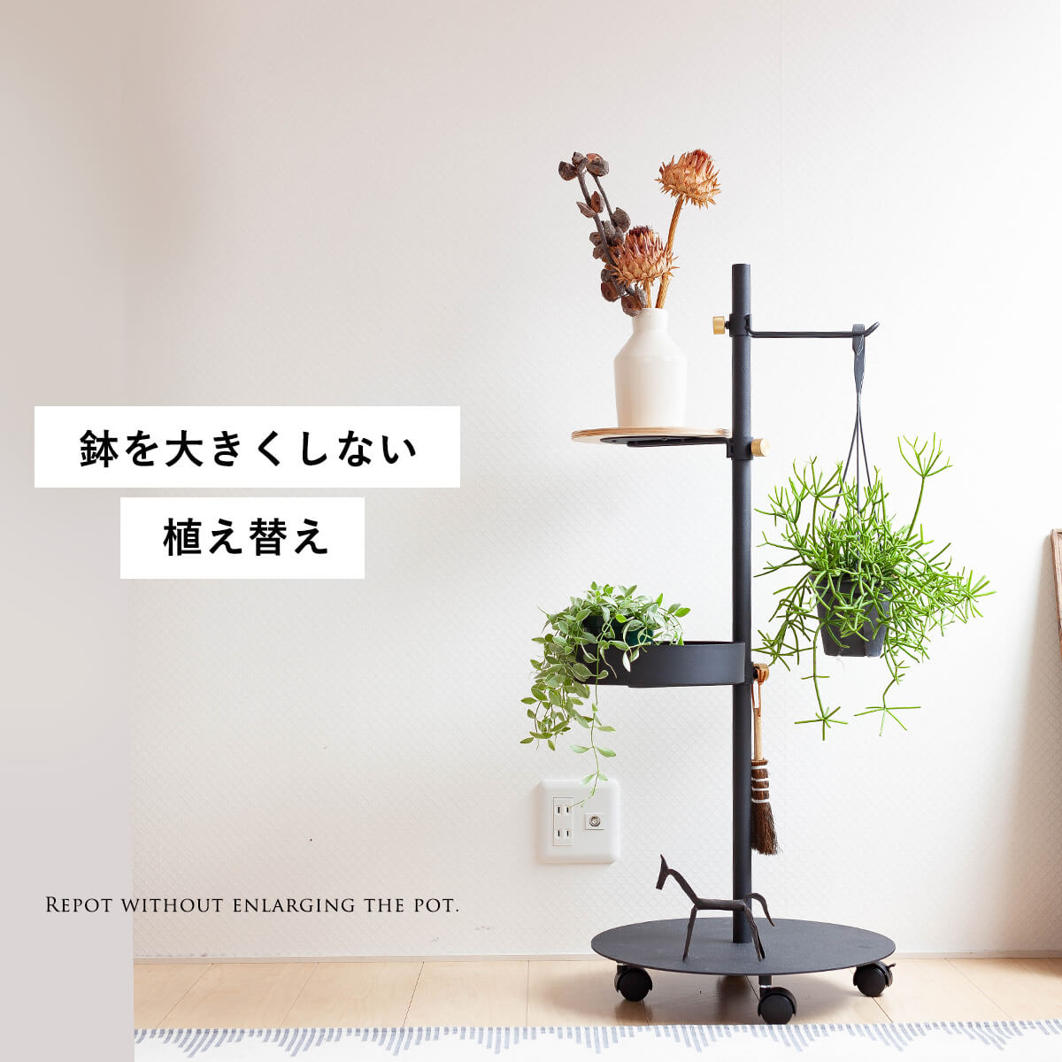 鉢を大きくしない 観葉植物の植え替え 特集 読みもの E 花屋さん