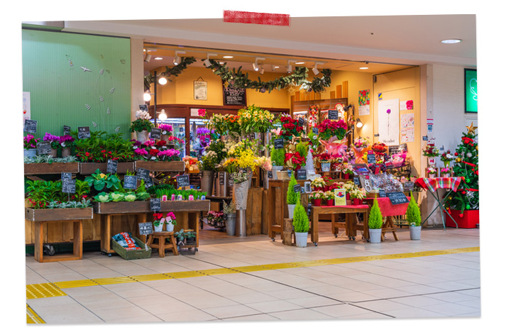 クリスマスシーズンの花屋の陳列