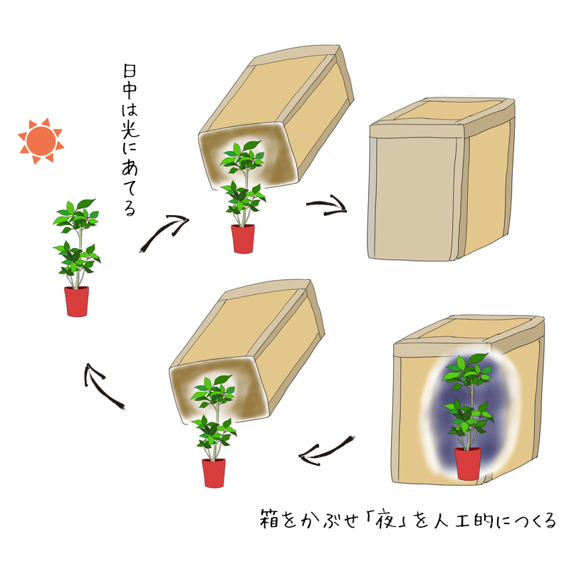 短日処理の作業説明