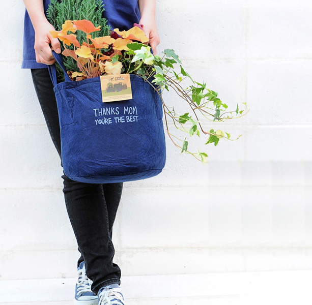 Root Pouch 屋外植物を植え替えるなら この植木鉢 特集 読みもの E 花屋さん