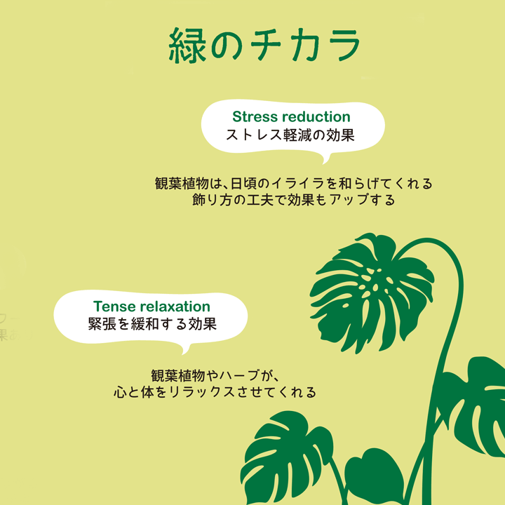 農林水産省_花のチカラ緑のチカラの資料