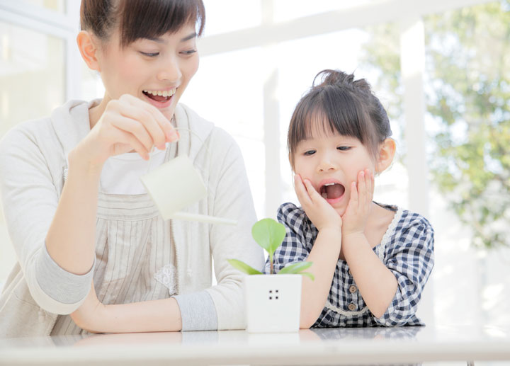 親子で植物を育てる楽しさ