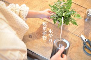 記事のサムネイル