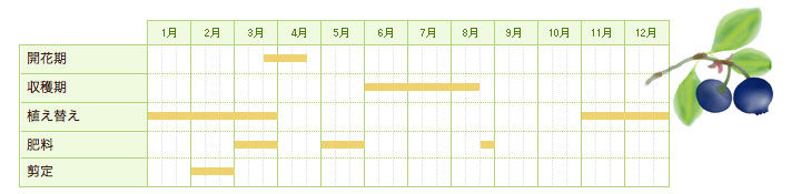 ブルーベリーの栽培カレンダー