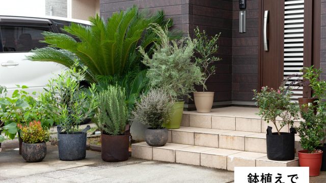 <span class="title">玄関を鉢植えでおしゃれに！おすすめ植物、配置方法を解説</span>