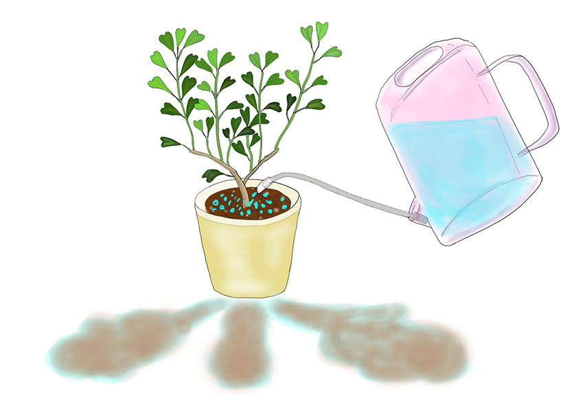 植え替えの際に出る微塵を、たっぷりの水で排出する