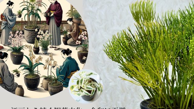 <span class="title">江戸時代の観葉植物文化が令和に！熱狂感じた日本ポトスサミット</span>