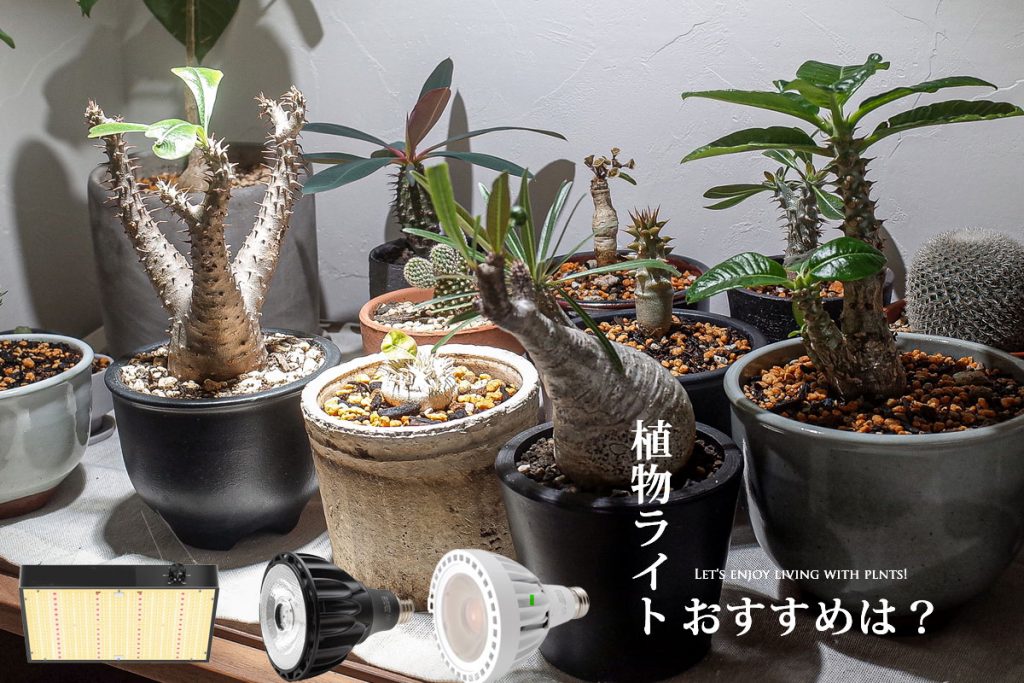 植物ライトの選び方