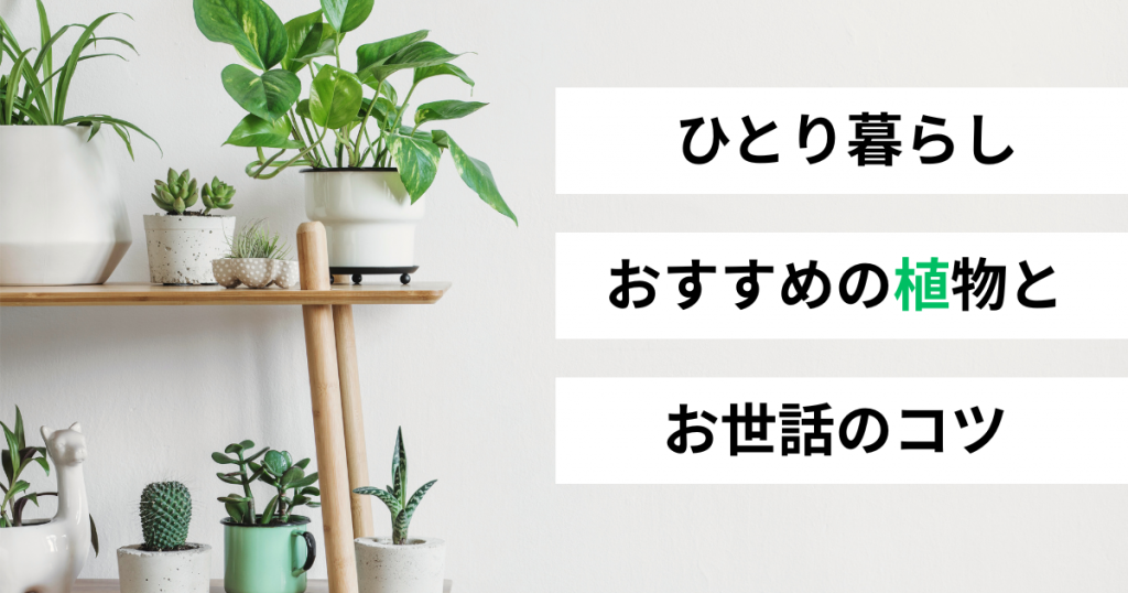 アイキャッチ画像