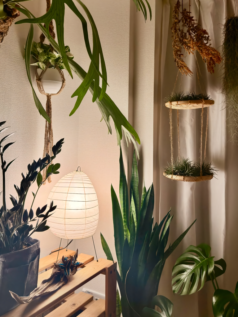 観葉植物を間接照明で飾っている画像