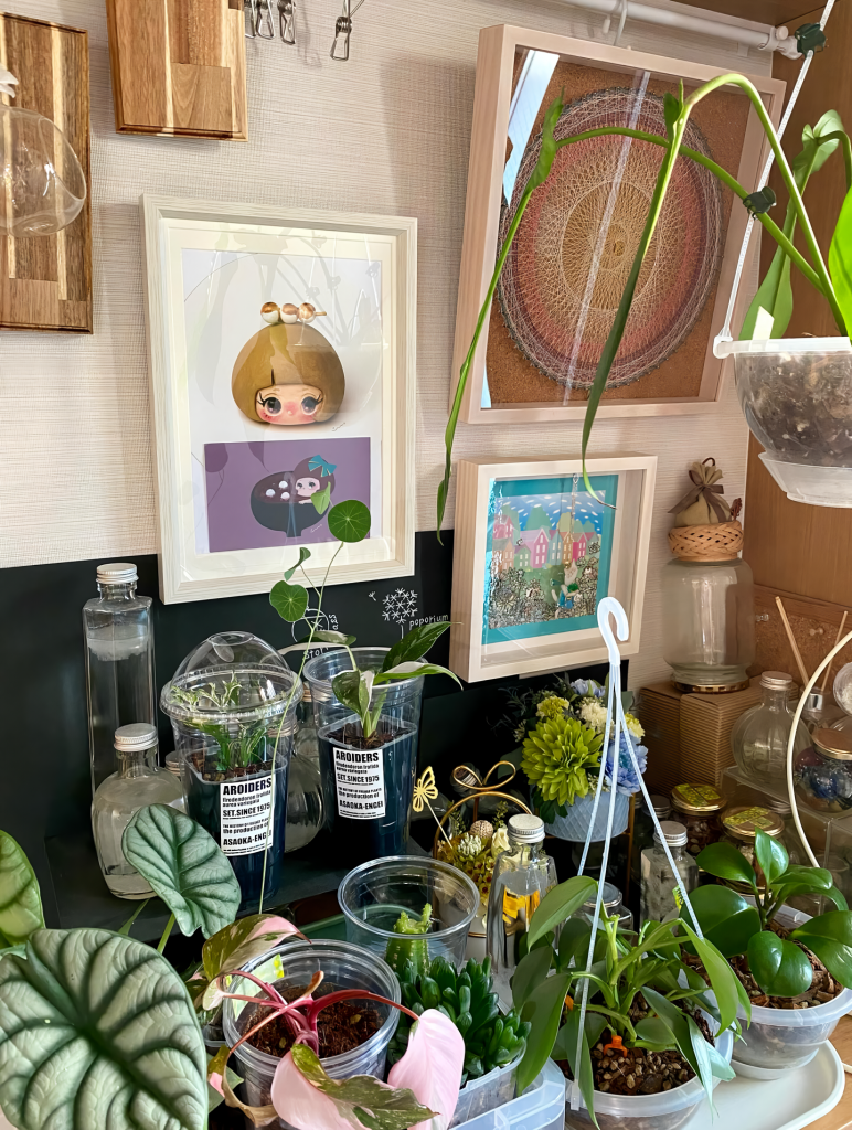 観葉植物を飾っている画像