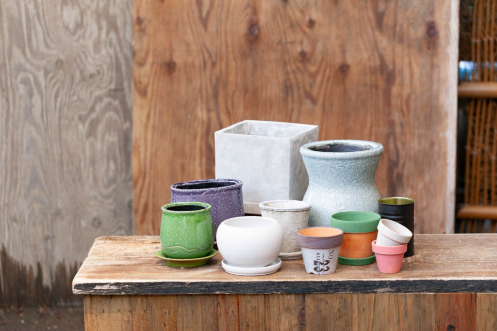 陶器鉢を並べている画像