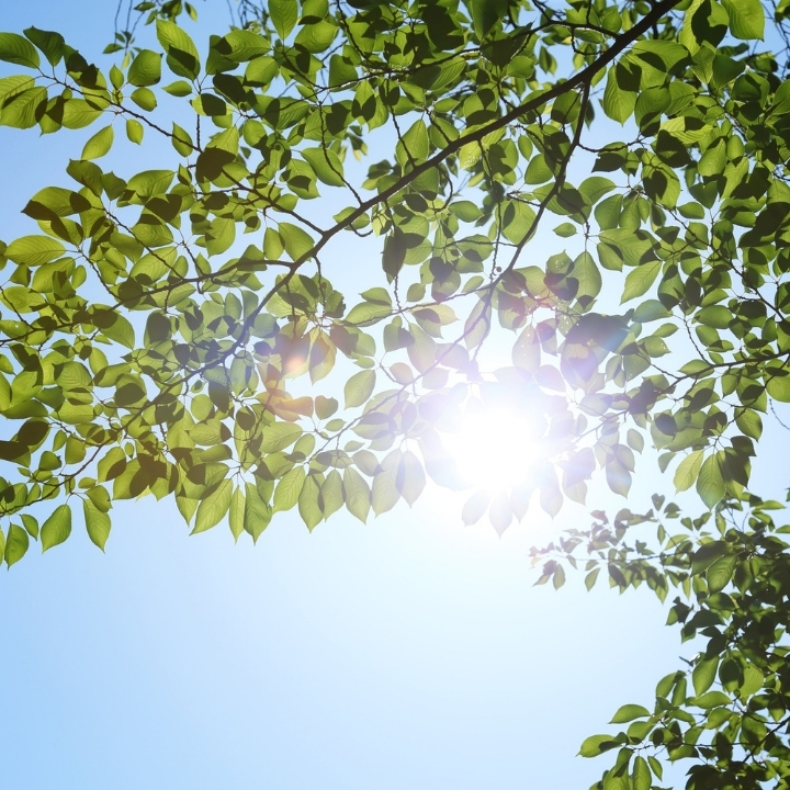 太陽の光が強いことを示す画像