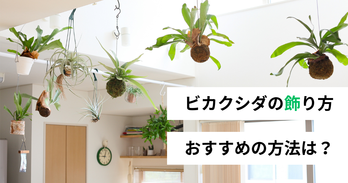 記事のサムネイル