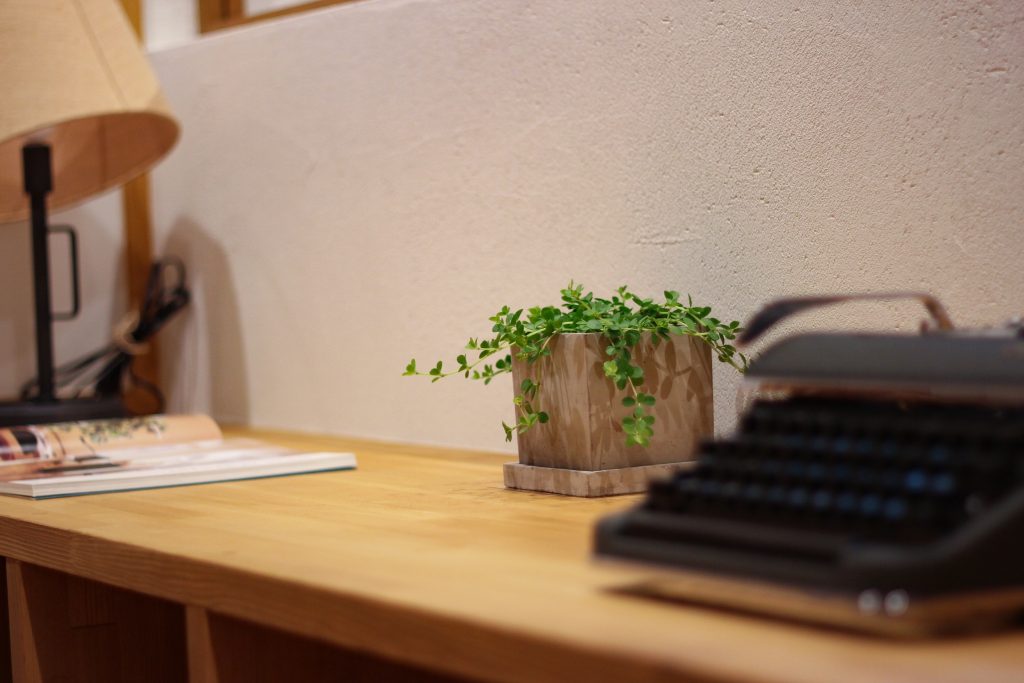 暗い部屋に植物を飾っている画像
