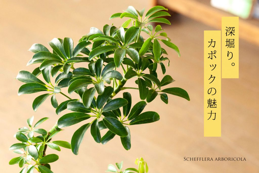 記事のサムネイル