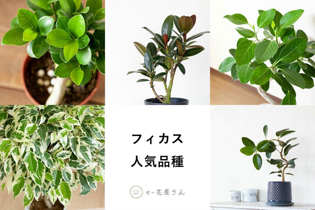 記事のサムネイル
