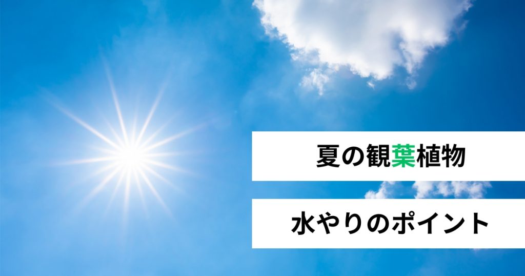 タイトルバナー