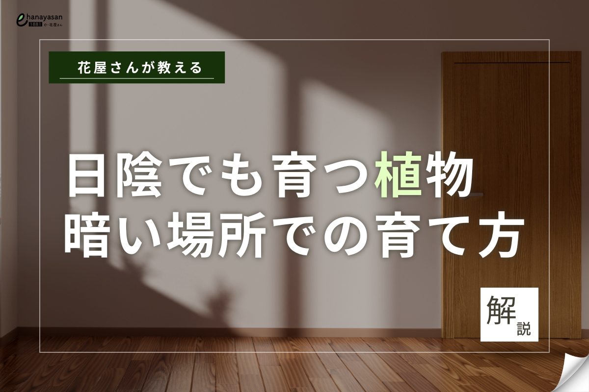 記事のサムネイル