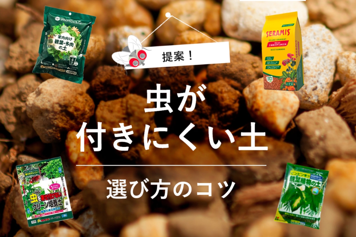 記事のサムネイル