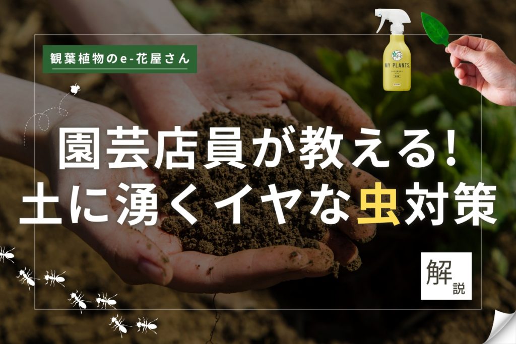 土に湧く虫対策のサムネイル画像