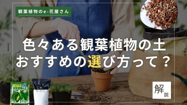 <span class="title">観葉植物の土の選び方｜有機質と無機質の違いと目的別おすすめ</span>